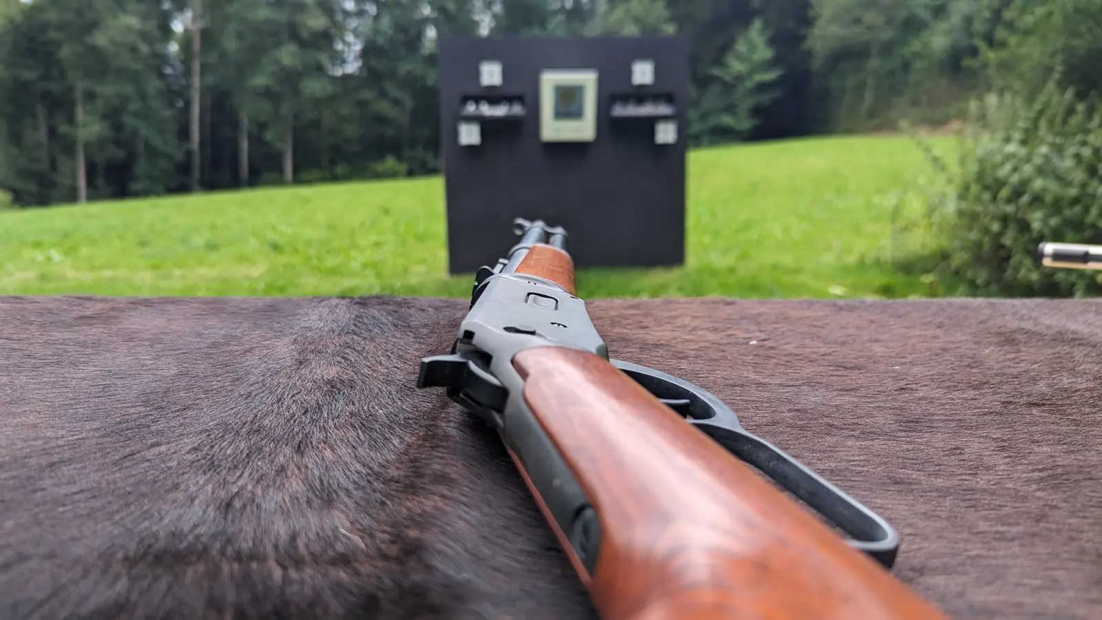Blick über das Unterhebelgewehr auf die Zielwand im Freien